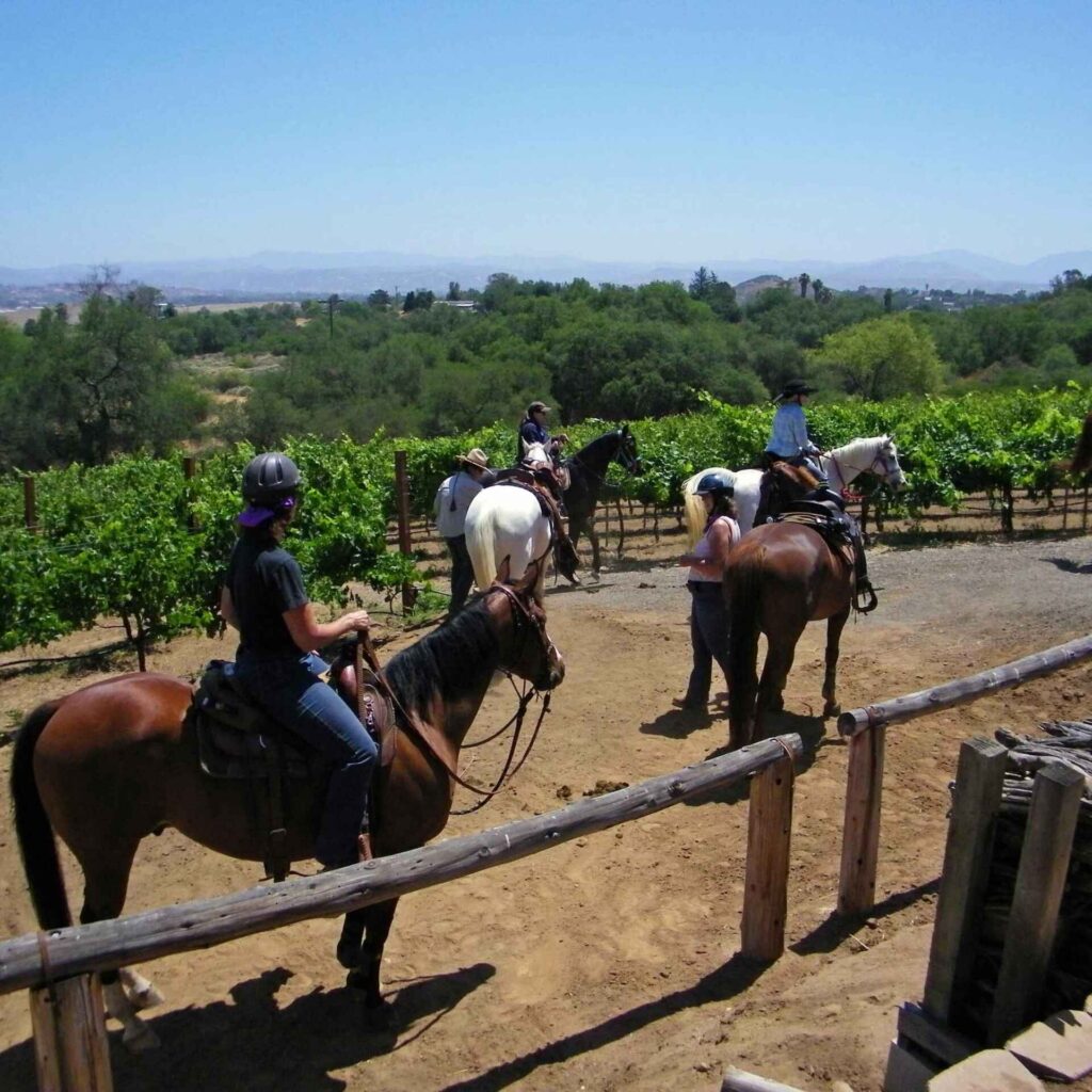 Woofnrose_horserail_sdcva-scaled (1).jpg