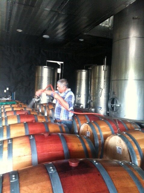 wine-in-barrels.jpg