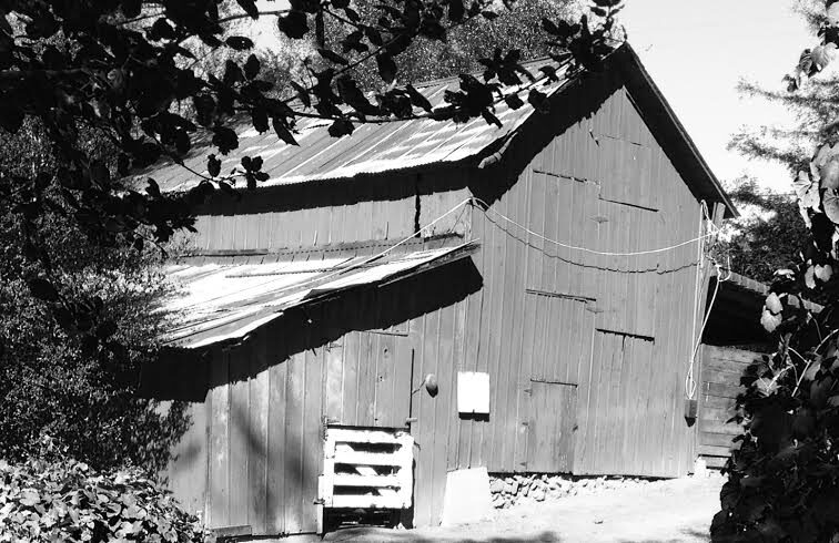 bw-barn.jpg
